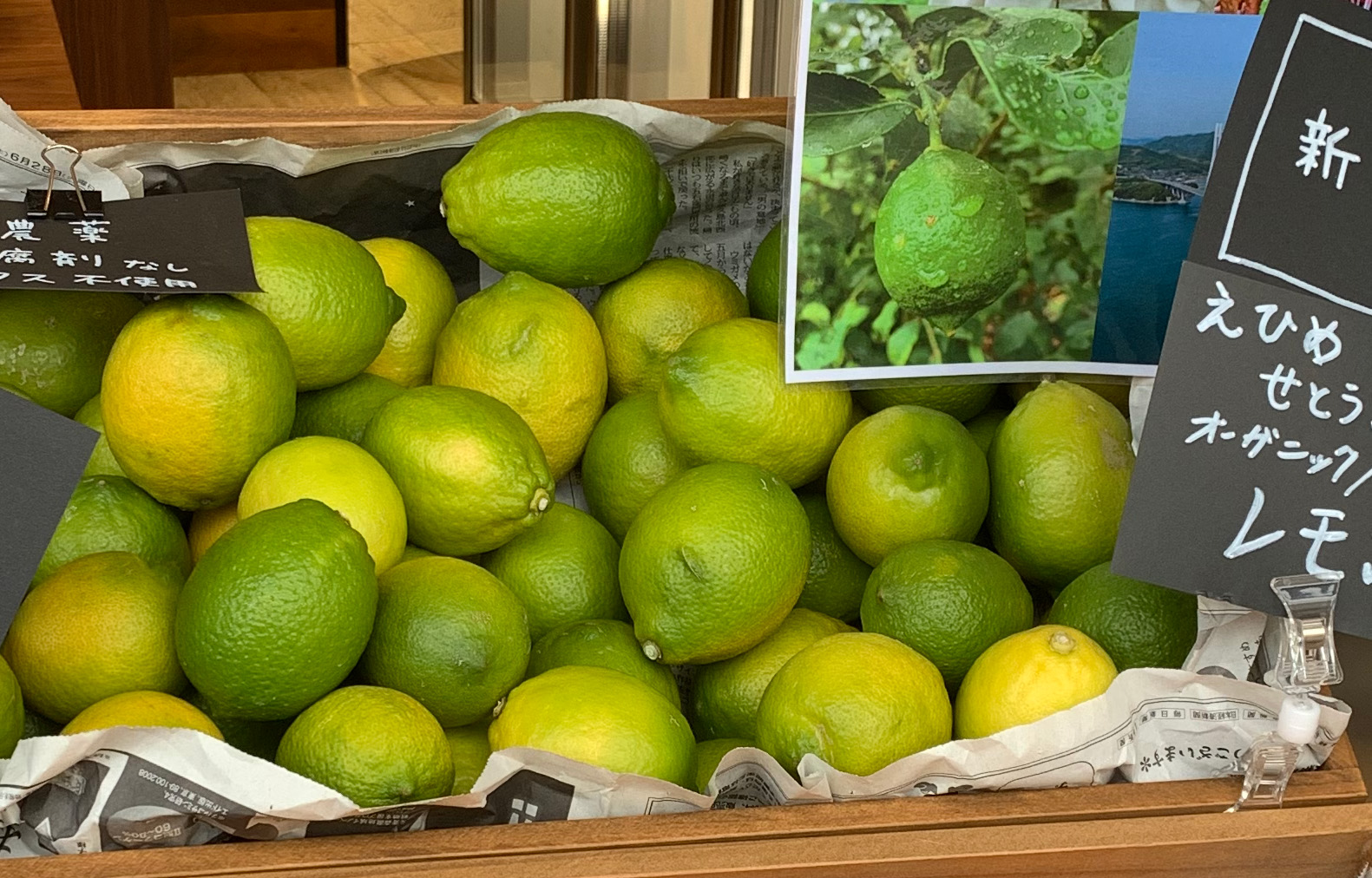 愛媛県大三島産の有機栽培のノンワックスレモン届きました。